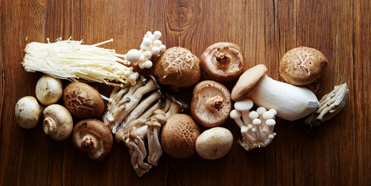 Functional Mushrooms 101