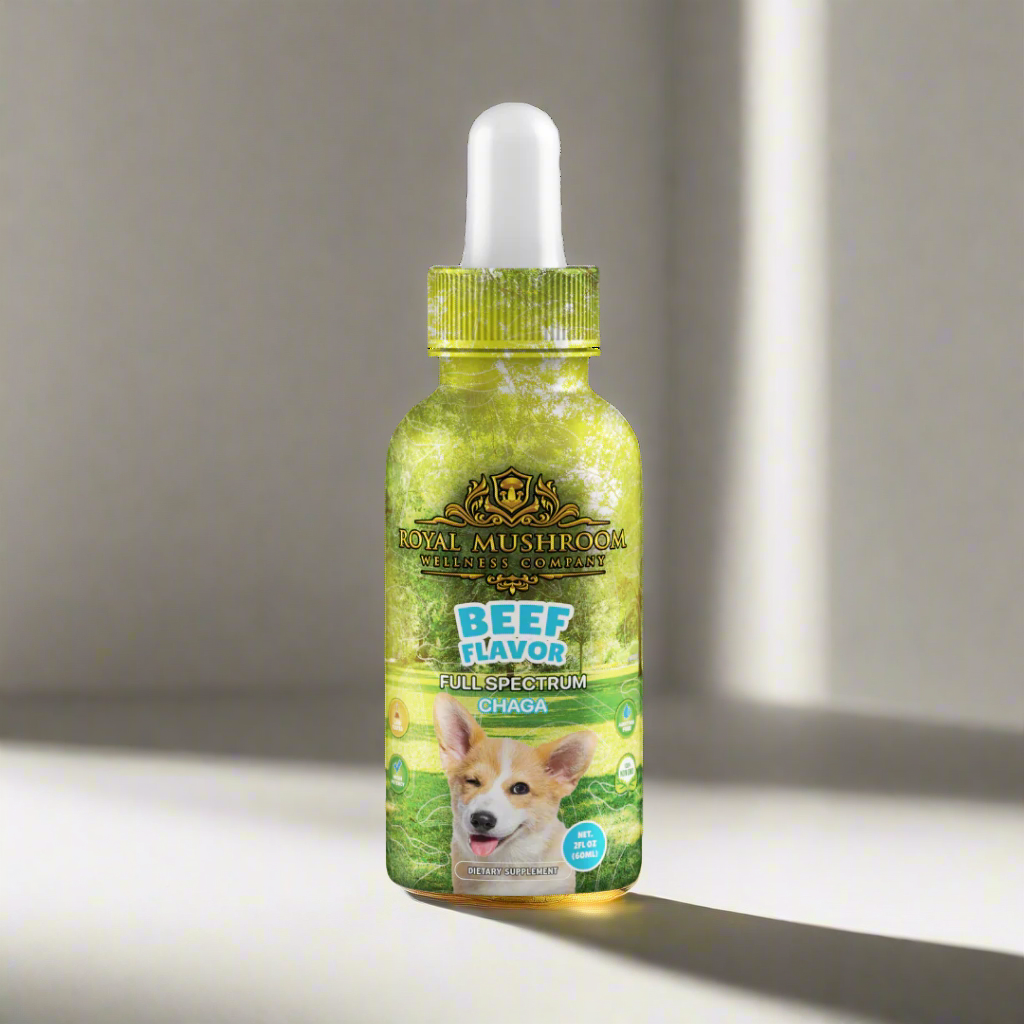 dogs tincture beef flavor - chaga