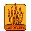Cordyceps