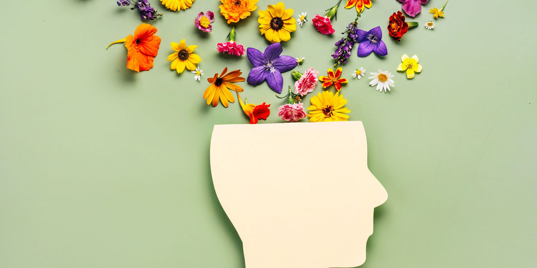 Lion’s Mane Gummies: The Ultimate Guide to Focus, Memory, and Radiating Mental Clarity