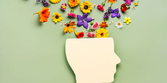 Lion’s Mane Gummies: The Ultimate Guide to Focus, Memory, and Radiating Mental Clarity