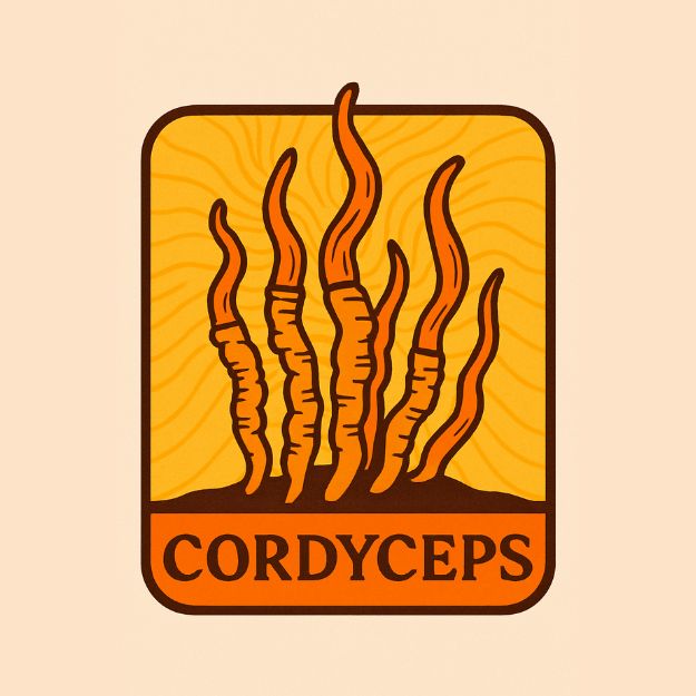 Cordyceps