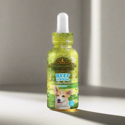 Dogs Tincture Beef Flavor - Chaga