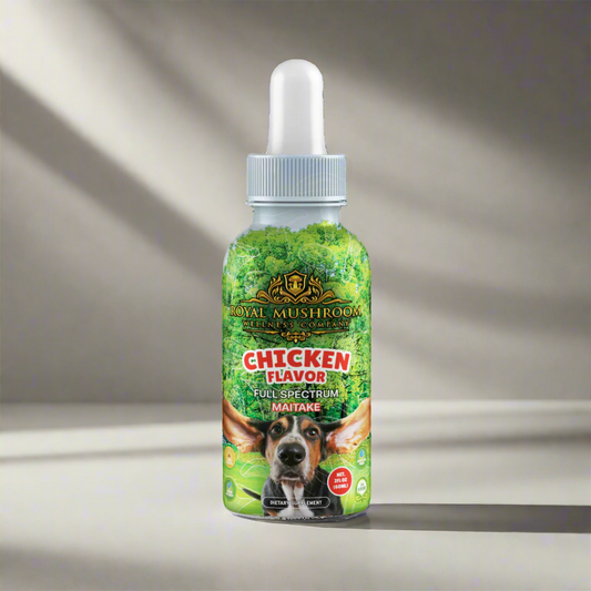 Dogs Tincture Chicken Flavor - Maitake