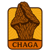 Chaga