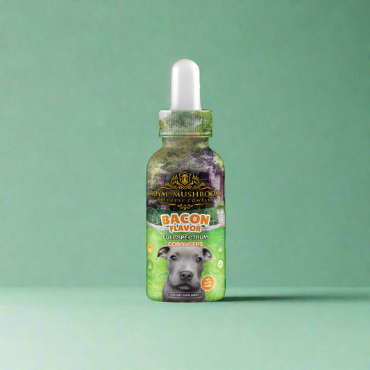 Dogs Tincture Bacon Flavor - Cordyceps